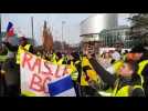 Les gilets jaunes devant la Cour europ&eacute;enne des droits de l'homme &agrave; Strasbourg - Label : Les Dernières Nouvelles d'Alsace - Category : News