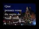 Marché de Noël de Strasbourg : Le grand sapin