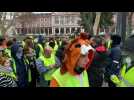 Gilets jaunes : marche  presque silencieuse &agrave; Mulhouse - Label : Les Dernières Nouvelles d'Alsace - Category : News