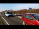 Opération escargot en Alsace Bossue
