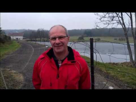 Crocodile de Xertigny : qu’est finalement devenu le reptile ?