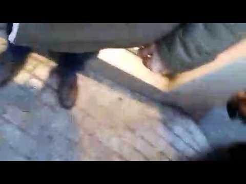Manifestation de Gilets Jaunes : gaz lacrymogène rue Leopold Bourg
