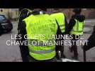 Les gilets jaunes de Chavelot manifestent au centre-ville d'Epinal