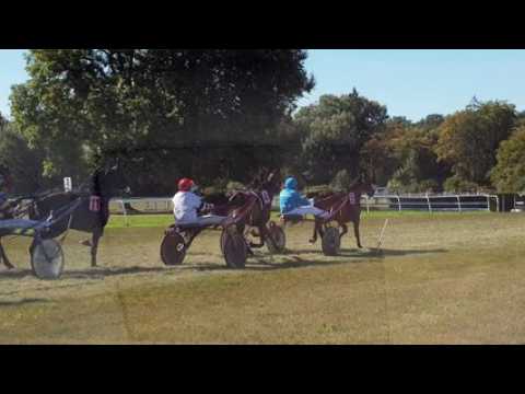 La dernière ligne droite d'une course de trot attelé vue de l'intérieur