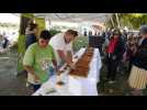 Une tarte aux mirabelles g&eacute;ante pour la bonne cause - Label : Vosges Matin - Category : News