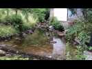 Comment fonctionne le haut fer de Saukxures-sur-Moselotte - Label : Vosges Matin - Category : News