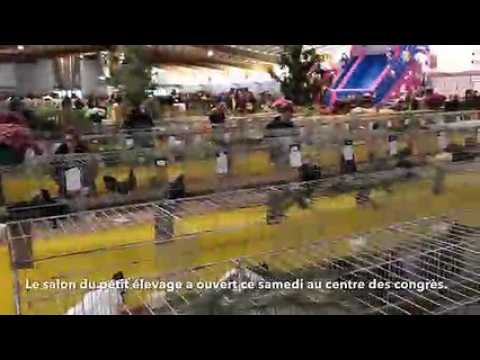 Le salon du petit élevage à Epinal