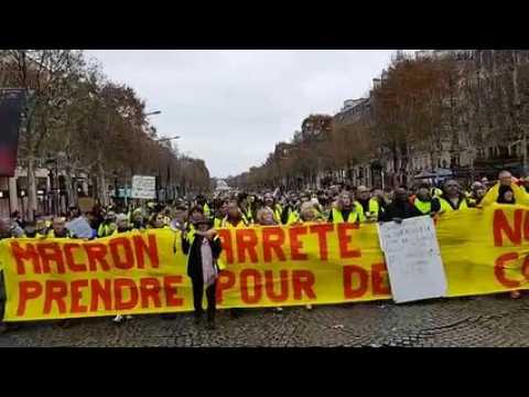 Gilets jaunes Vosgiens à Paris