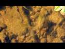 La Meuse au plus bas pr&egrave;s de Neufch&acirc;teau - Label : Vosges Matin - Category : News