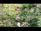 Lign&eacute;ville : l'eau coule malgr&eacute; la s&eacute;cheresse... - Label : Vosges Matin - Category : News