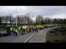 Les Gilets jaunes marchent autour du rond-point de l'A31 &agrave; Bulgn&eacute;ville - Label : Vosges Matin - Category : News