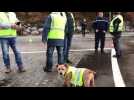 Gérardmer : Quand un chien aboie en chœur avec les gilets jaunes