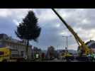 Le sapin de Noël installé place Jules-Méline à Remiremont sous quelques poussières de neige