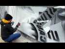 La street artiste n&eacute;erlandaise JDL s'est empar&eacute;e du Mur d&rsquo;&Eacute;pinal.... - Label : Vosges Matin - Category : News