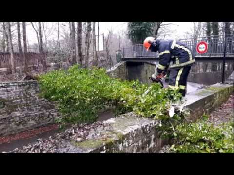 Arbre tombé sur la route à Epinal