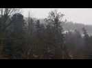 Temp&ecirc;te Isaias :  les sapins r&eacute;sistent dans le d&eacute;fil&eacute; de Straiture &agrave; Ban-sur-Meurthe-Clefcy dans les Vosges - Label : Vosges Matin - Category : News