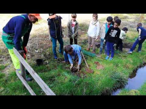 Des enfants de l'école Saint-Laurent d'Épinal plantent des arbres au jardin partagé de la 40 Semaine