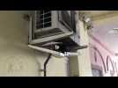 Un pigeon a install&eacute; son nid dans un endroit pour le moins instable - Label : Vosges Matin - Category : News