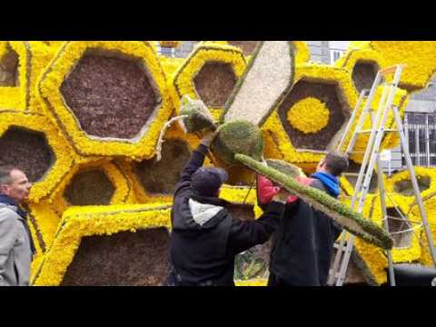 Dernières retouches sur les chars de la Fête des Jonquilles avant le corso fleuri