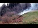 Le Thillot : L'incendie qui a ravag&eacute; 15 hectares sur sa fin - Label : Vosges Matin - Category : News