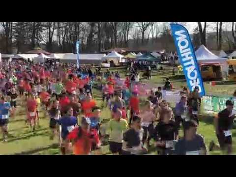 Trail. Le 8 km du Trail des Terroirs Vosgiens 2019