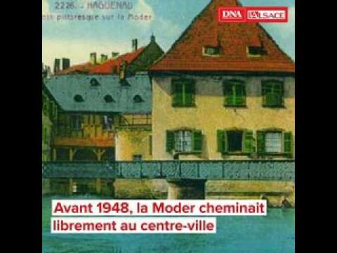 DNA - Au fil de la moder