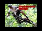 Ca roule pour Canyon! - Label : Les Dernières Nouvelles d'Alsace - Category : Sport