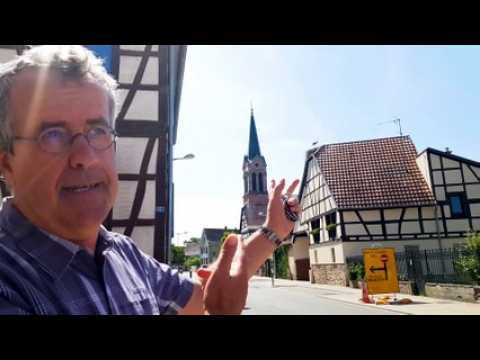 DNA- Le casse-tête des nids de cigognes
