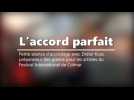 DNA - L'accord parfait (Didier Kuss, préparateur de pianos)