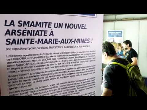 DNA - Trois questions à Nicolas Meisser, conservateur de minéralogie et pétrographie au musée cantonal de géologie de Lausanne  (à l'occasion de la Bourse aux minéraux de Sainte-Marie-aux-Mines)
