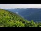 Belle balade autour du Rainkopf - Label : Les Dernières Nouvelles d'Alsace - Category : News