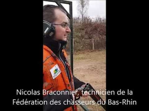 Le "rabbit", une des épreuves du permis allemand