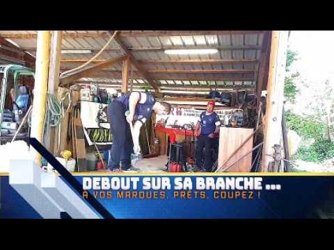 DNA - Séances d'entraînement de Loïc Voinson, 20 ans, sélectionné au championnat du monde de bûcheronnage (moins de 25 ans), qui a lieu ce samedi 25 mai 2019 en Suède