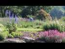 Le jardin Lilaveronica de Thanvill&eacute; ouvre ses portes aux visiteurs - Label : Les Dernières Nouvelles d'Alsace - Category : News