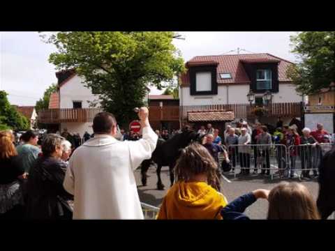 Jour de bénédiction pour les chevaux, ânes et poneys