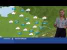 Le temps ce vendredi : lourd avec des averses en fin de journ&eacute;e - Label : Les Dernières Nouvelles d'Alsace - Category : News