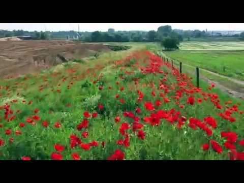 DNA - Vues aériennes des chantiers de la nouvelle Autoroute A355 (Grand Contournement Ouest de Strasbourg)