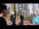 Bain de for&ecirc;t - Label : Les Dernières Nouvelles d'Alsace - Category : News