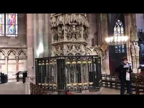 Rayon vert cathédrale de Strasbourg