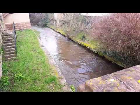 Les rivières en crue dans le secteur d'Obernai/Molsheim 16 mars 2019
