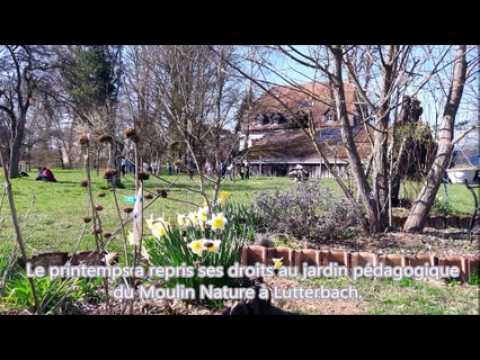 DNA - Le jardinage avec les limaces au Moulin Nature