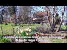 DNA - Le jardinage avec les limaces au Moulin Nature