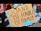 Climat : près de 500 jeunes à nouveau dans la rue à Strasbourg