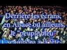 DNA - Racing : Une passion &eacute;ternelle - Label : Les Dernières Nouvelles d'Alsace - Category : News