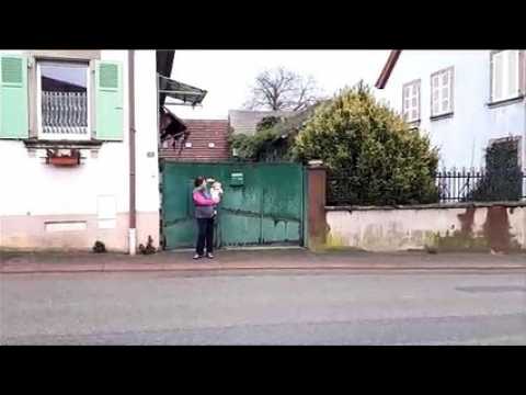 Rorschwihr : Le gîte de Liliane fait marquer des points à Airbnb