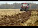 Glyphosate : pourquoi est-ce si difficile de s'en passer ? - Label : Les Dernières Nouvelles d'Alsace - Category : News