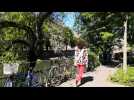 Interview de Miss International Grand Est
