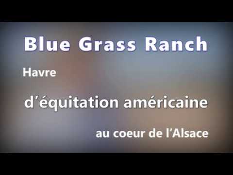 DNA - Havre d’équitation américaine au cœur de l’Alsace