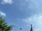 Cérémonie du 13 juillet - Passage des Rafales français et de l'Eurofighter allemand