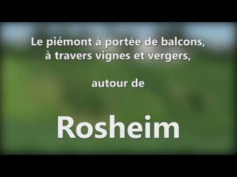 DNA - Le piémont à portée de balcons, à travers vignes et vergers, autour de Rosheim
